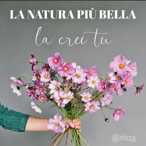 Studio di psicologia Dott.ssa Antonella Cobianco, immagine 25